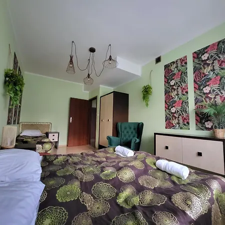 żabcia 格里兹鲍